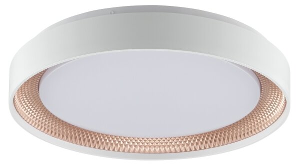 Brilliant - LED Stm stropní svítidlo WALDO LED/24W/230V bílá/rose gold + DO