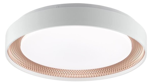 Brilliant - LED Stm stropní svítidlo WALDO LED/24W/230V bílá/rose gold + DO