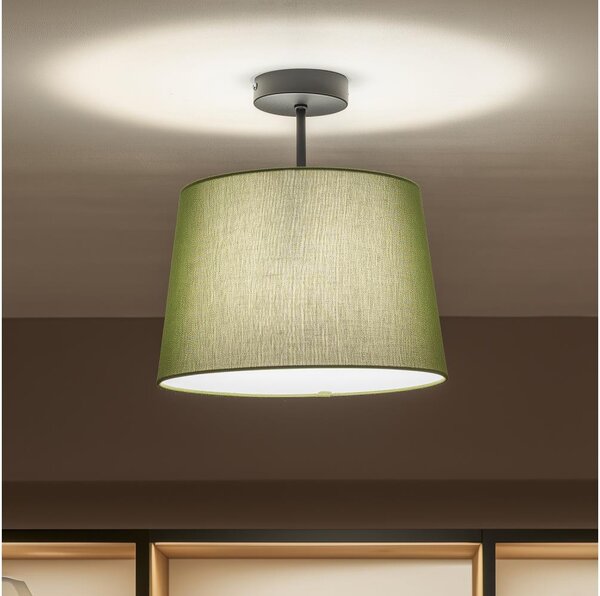 Brilagi - LED Přisazený lustr CERIA 1xE27/60W/230V pr. 30 cm černá/zelená
