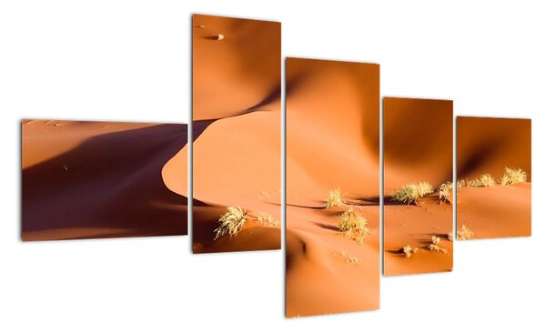 Obraz pouštích dun (150x85cm)