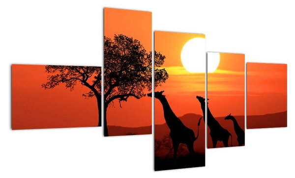 Obraz žirafy při západu slunce (150x85cm)
