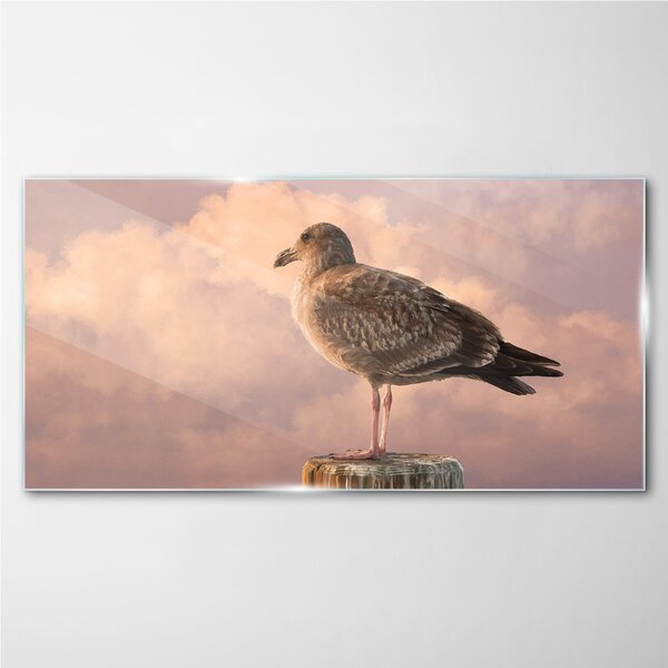 Obraz na skle Obraz na skle Zvířecí pták Seagull Sky