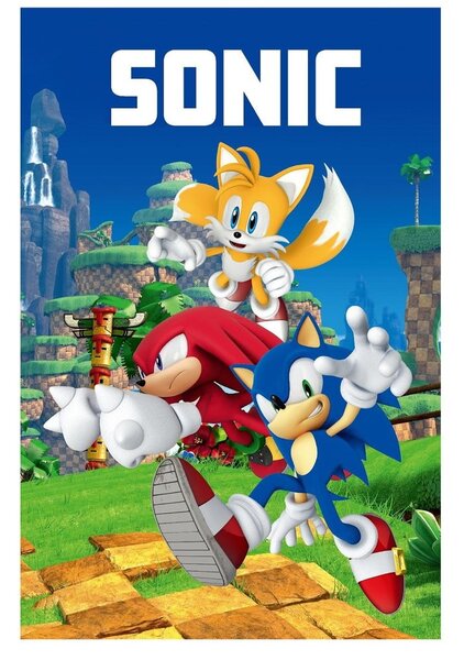Fleecová dětská deka 100x150 cm Sonic – Jerry Fabrics