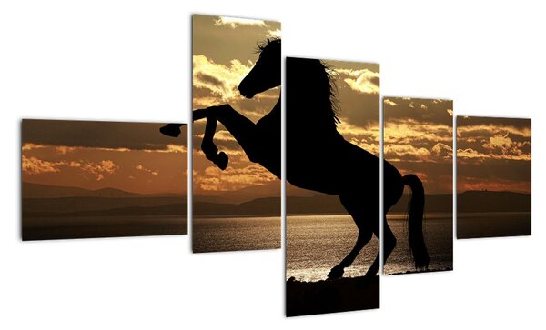 Obraz koně na zadních (150x85cm)