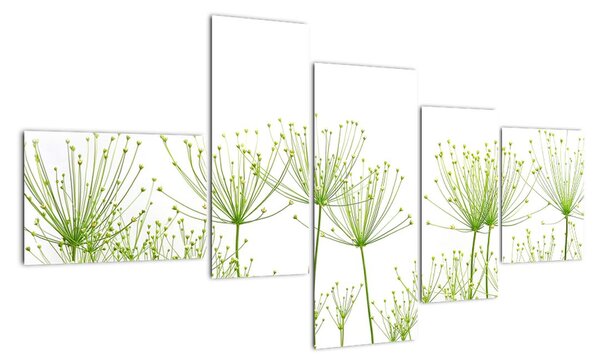 Obraz rostlin na bílém pozadí (150x85cm)