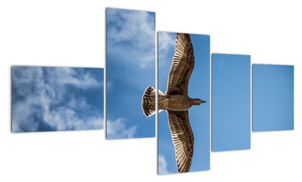 Obraz letícího ptáka (150x85cm)