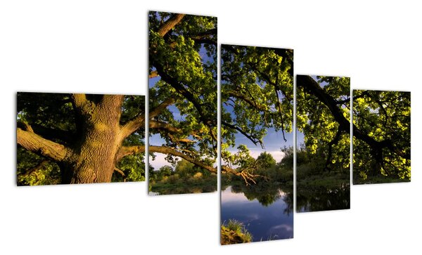 Obrázek stromu - moderní obrazy (150x85cm)