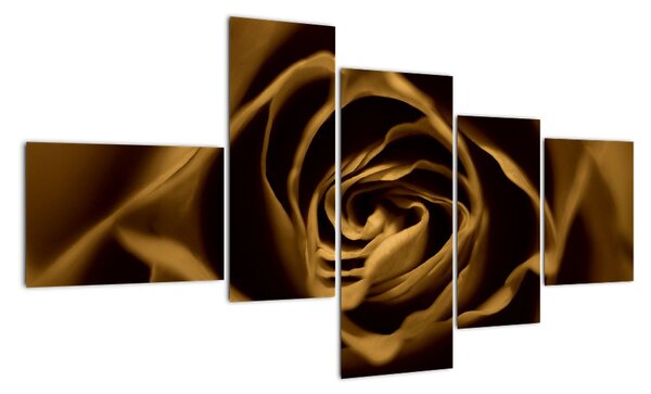 Obraz růže (150x85cm)