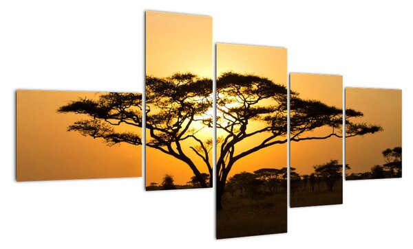 Fotka stromu - obraz (150x85cm)