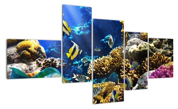 Podmořský svět - obraz (150x85cm)
