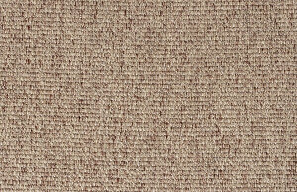 Béžová čalouněná jídelní židle DUTCHBONE BABINGTON