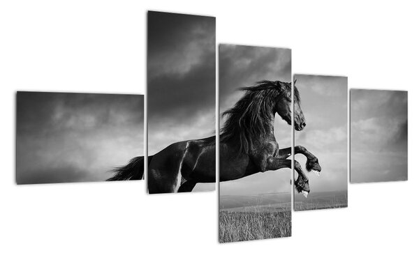 Obraz koně na stěnu (150x85cm)
