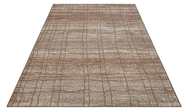 Hnědo-béžový koberec 80x120 cm Terrain – Hanse Home