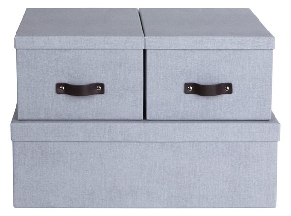 Světle šedé kartonové úložné boxy s víkem v sadě 3 ks 31x47x15 cm Inge – Bigso Box of Sweden