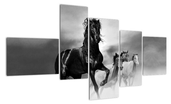 Černobílý obraz koňů (150x85cm)