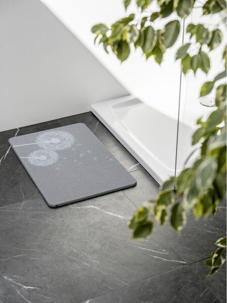 Šedá koupelnová předložka z křemeliny 39x60 cm Astera – Wenko