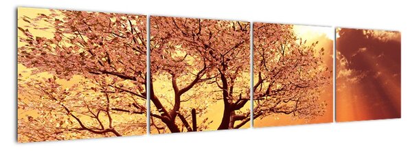 Obraz přírody - strom (160x40cm)