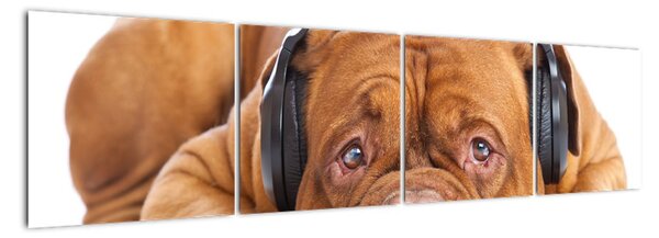 Moderní obraz - pes se sluchátky (160x40cm)