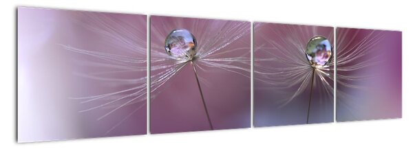Obraz - květ s kapkami vody (160x40cm)