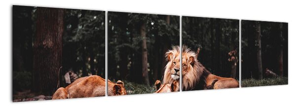 Obrazy - lvi v lese (160x40cm)