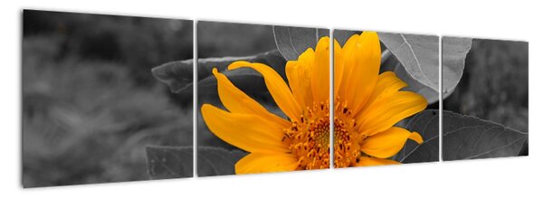 Obraz oranžového květu (160x40cm)