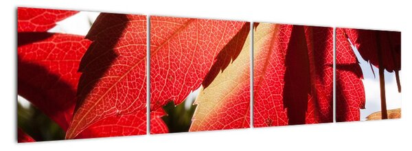 Obraz červených listů (160x40cm)