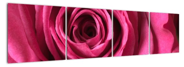 Obraz růžové růže (160x40cm)