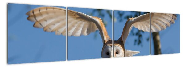 Obraz letící sovy (160x40cm)