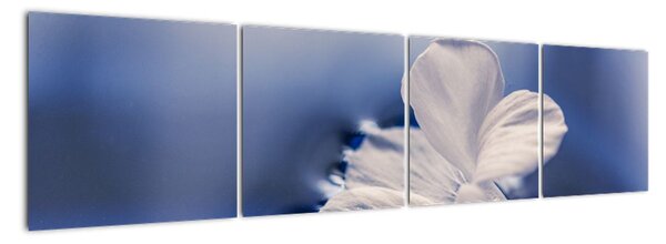 Obraz bílého květu ve vodě (160x40cm)