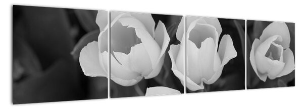 Černobílé květy (160x40cm)