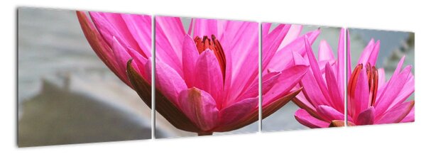 Obraz dvou květů (160x40cm)
