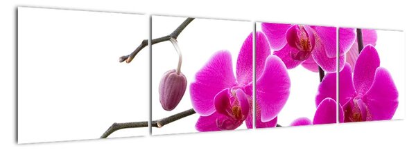 Obraz orchidejí na zeď (160x40cm)
