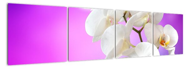 Obraz s orchidejí (160x40cm)