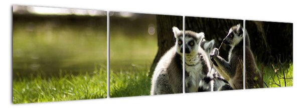 Obraz lemurů (160x40cm)