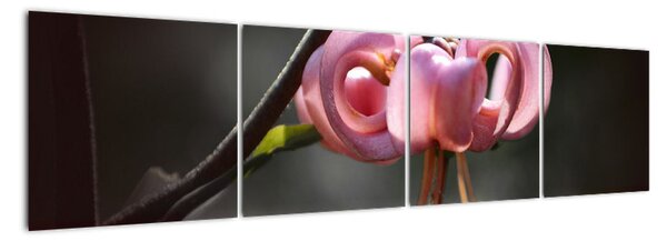 Obraz květiny (160x40cm)