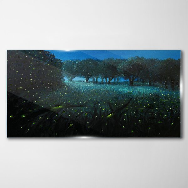 Obraz na skle Obraz na skle Lesní noční fireflies