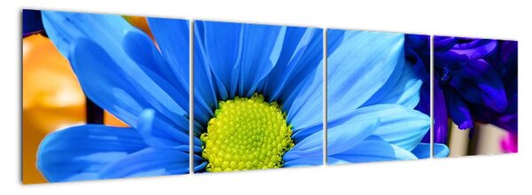 Modrá chryzantéma - obrazy (160x40cm)