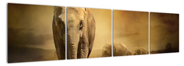 Obraz slona (160x40cm)