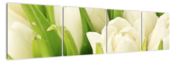 Detail tulipánů - obraz (160x40cm)