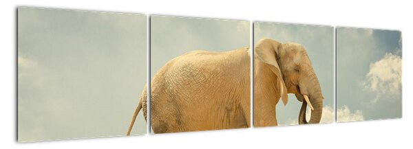 Slon na laně, obraz (160x40cm)