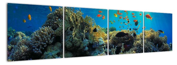 Obraz podmořského světa (160x40cm)