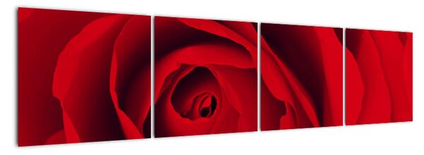 Detail červené růže - obraz (160x40cm)