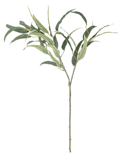 Umělý eukalyptus (výška 85 cm) Eucalyptus – Bloomingville