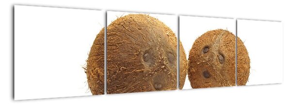 Kokosový ořech, obraz (160x40cm)