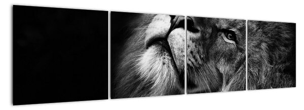 Obraz lva (160x40cm)