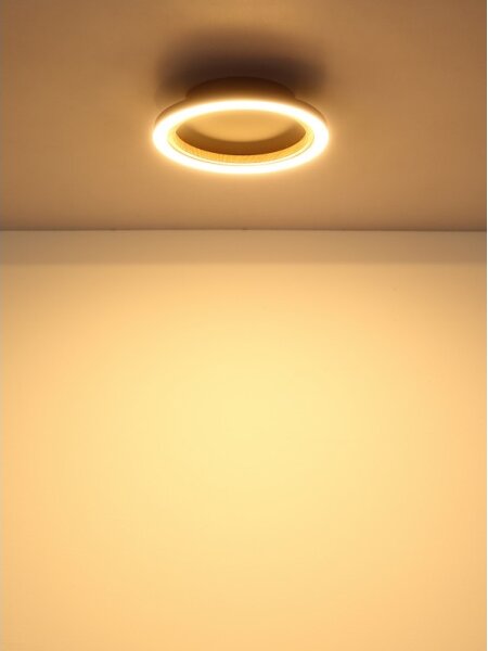 Globo 67356D - LED Stropní svítidlo DAKARI I LED/12W/230V 3000K pr. 20,5 cm