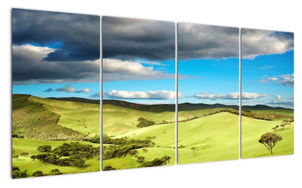 Obraz - louka (160x80cm)