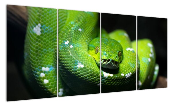 Obraz zvířat - had (160x80cm)