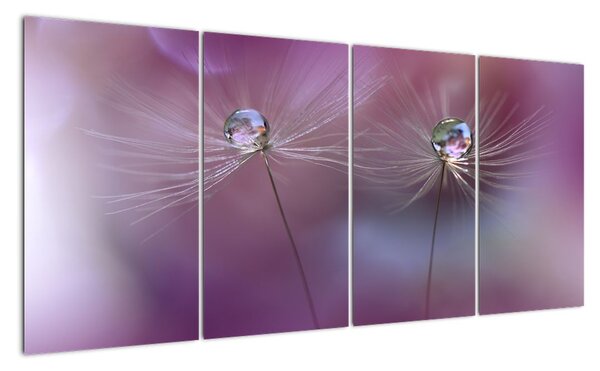 Obraz - květ s kapkami vody (160x80cm)