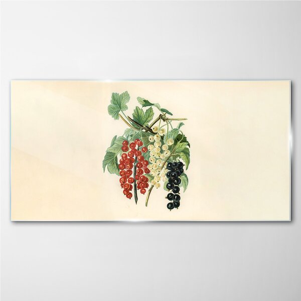 Obraz na skle Obraz na skle Ovoce větev listy